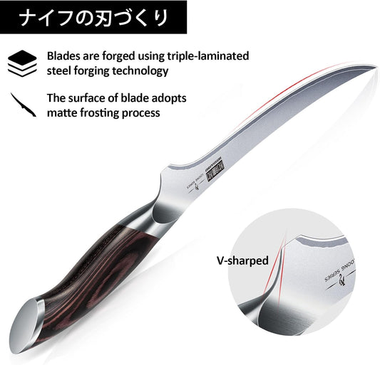 HOSHANHO Fillet Knife 9 Inch, Super Sharp Japanese Fish Boning Knife