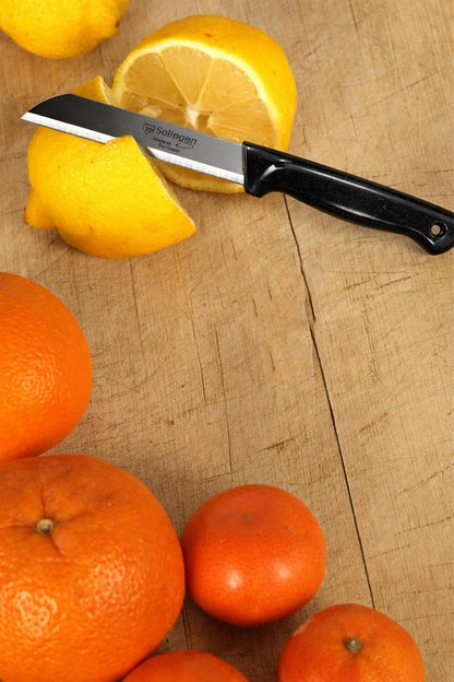Quantity 6 Pcs Paring Knife Set – Sharp Serrated German Stainless Steel Solingen Kitchen Knives – Best Utility Chef Knives for Fruit & Vegetable Cutting, Multi Color