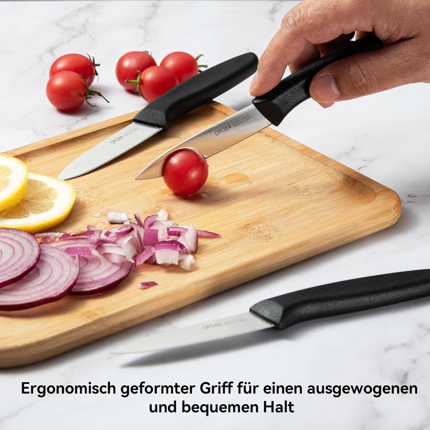 Fruit Knife Set of 6,Straight Edge,Stainless Steel,PP Handle,Black