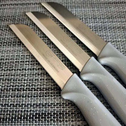 Quantity 6 Pcs Paring Knife Set – Sharp Serrated German Stainless Steel Solingen Kitchen Knives – Best Utility Chef Knives for Fruit & Vegetable Cutting, Multi Color