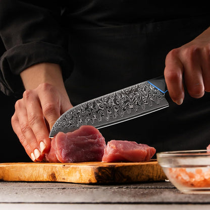 Santoku Knife 7 Inch, 67-Layer Damascus Steel Chef Knife with G10 Handle