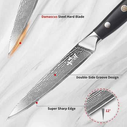 Damascus Kitchen Utility Knife, 5.5" Paring Knife VG10 Damascus Stainless Steel, 67-Layer Forged Blade, Perfect for Peeling, Slicing & Trimming