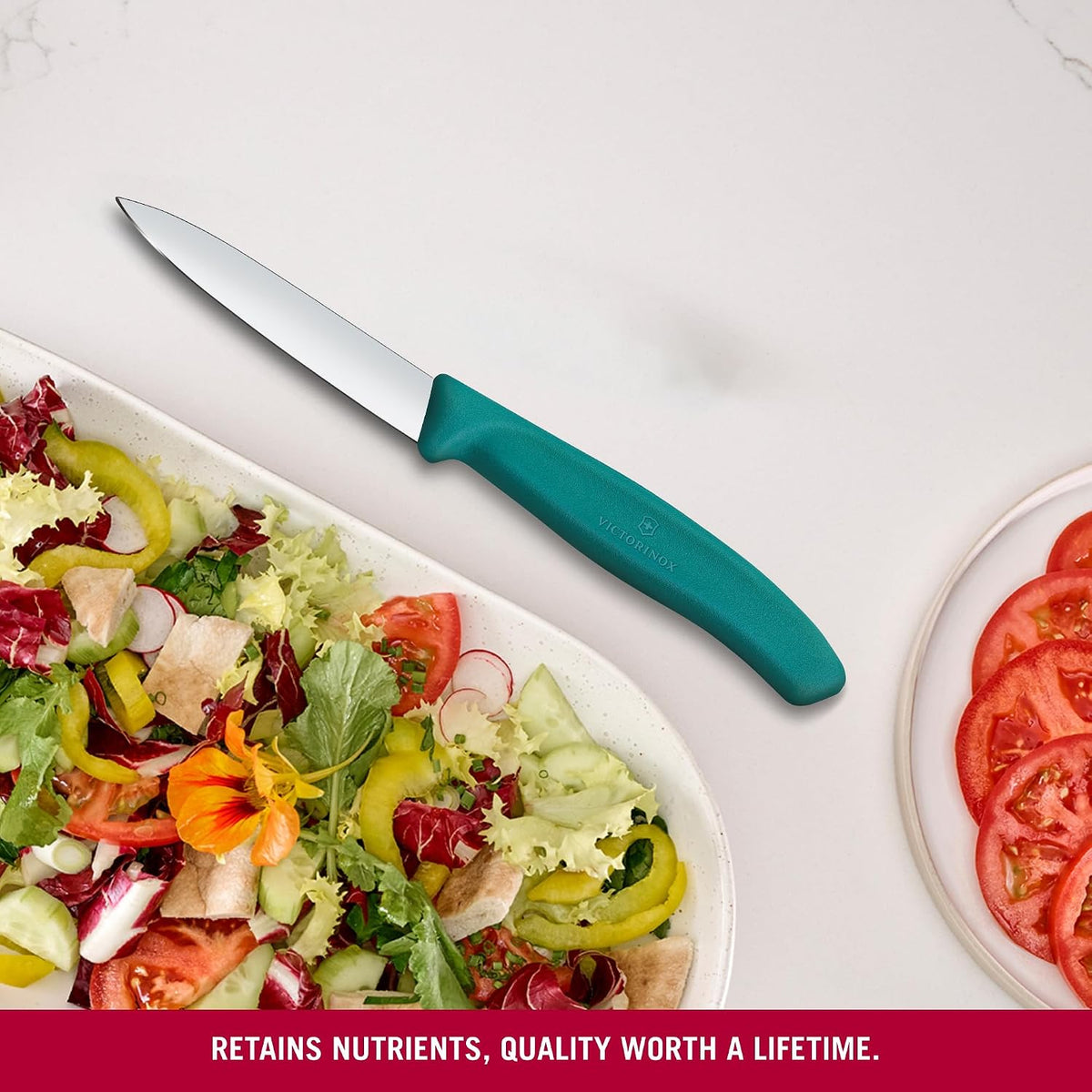 Victorinox Swiss Classic 3 in Paring Knife, Straight Edge Blade - Green